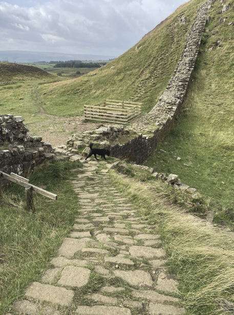 Ethical Good tweet media