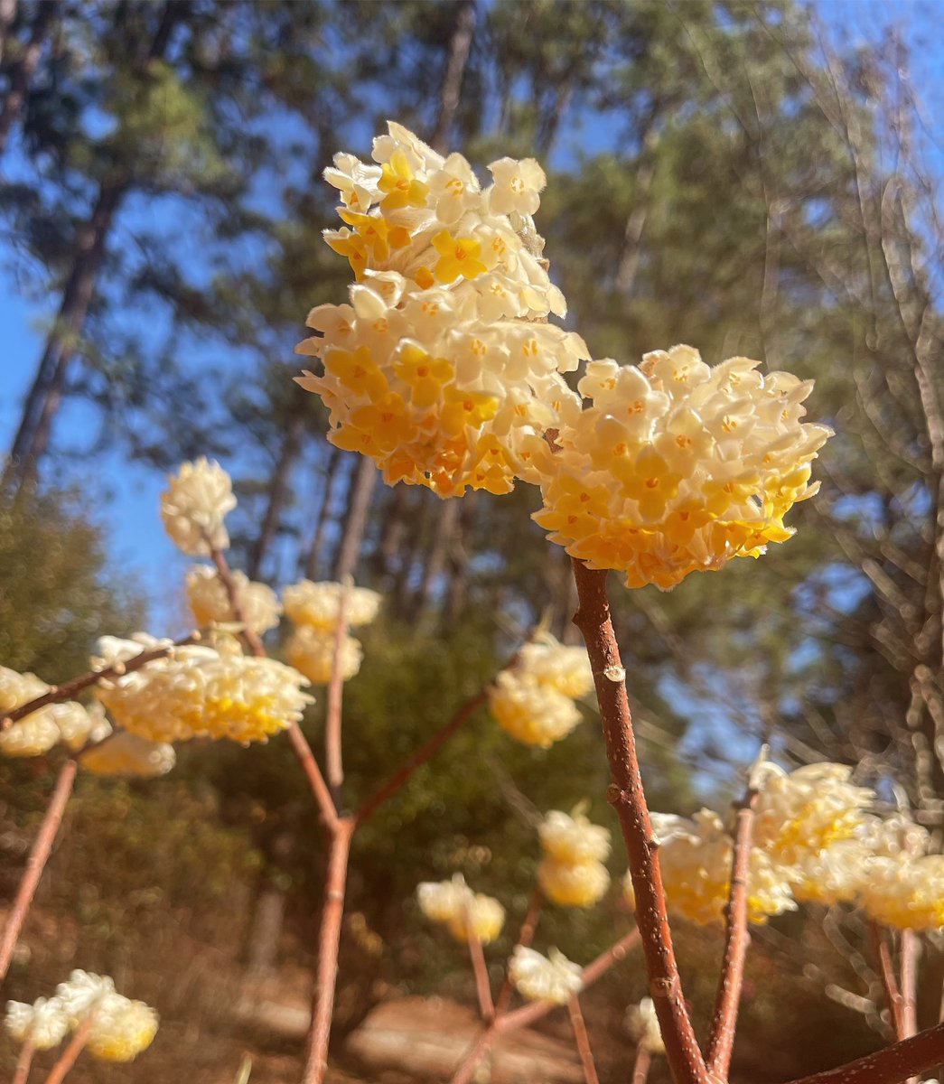 Count your many blessings name them one by one …