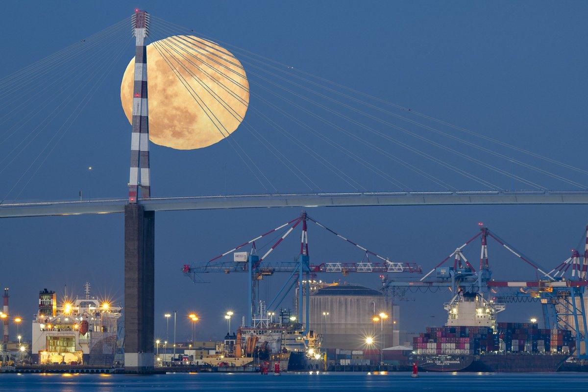 Valéry joncheray tweet media