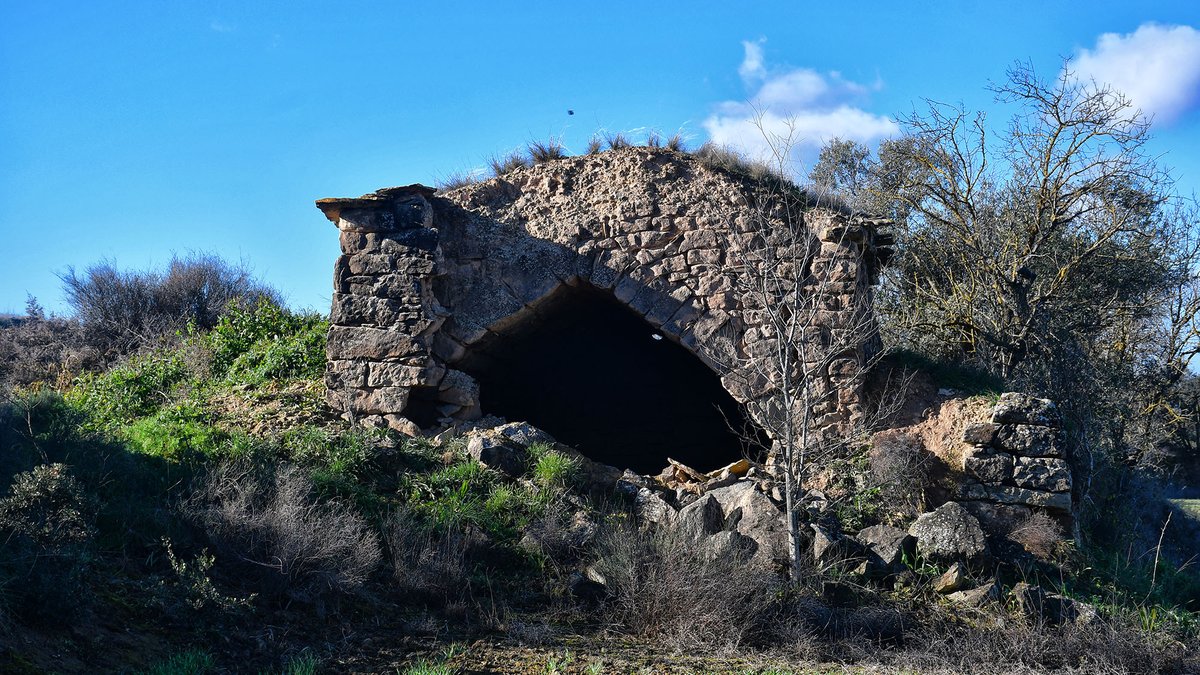 Som Segarra tweet media