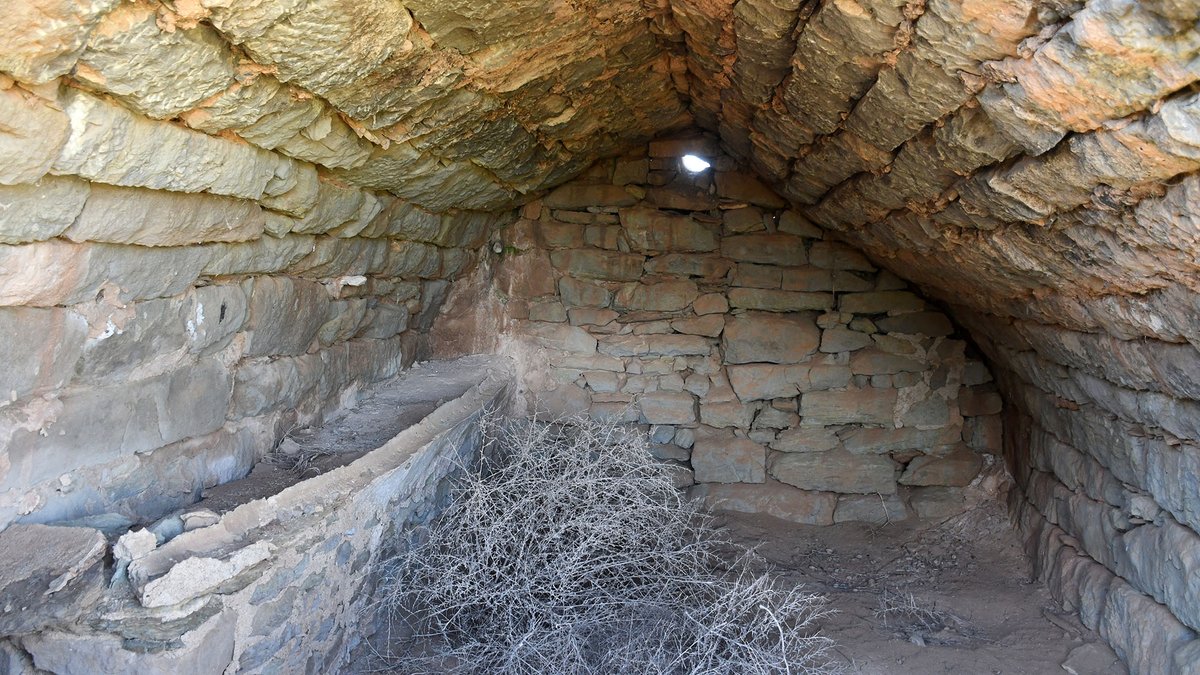 Som Segarra tweet media