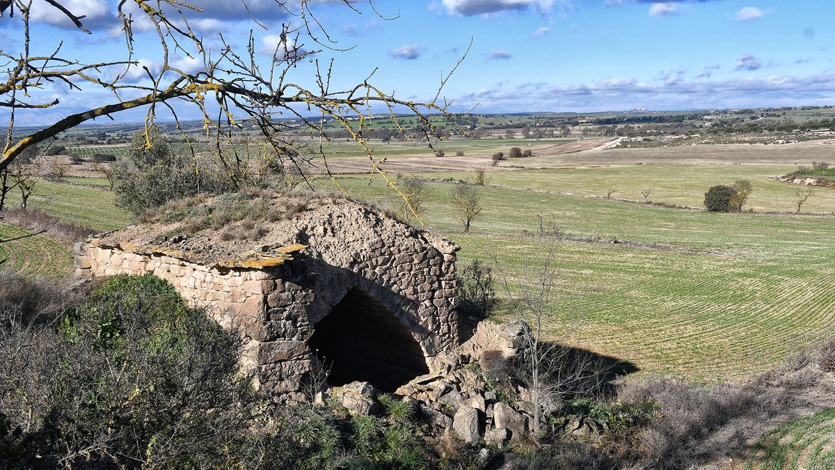 Som Segarra tweet media