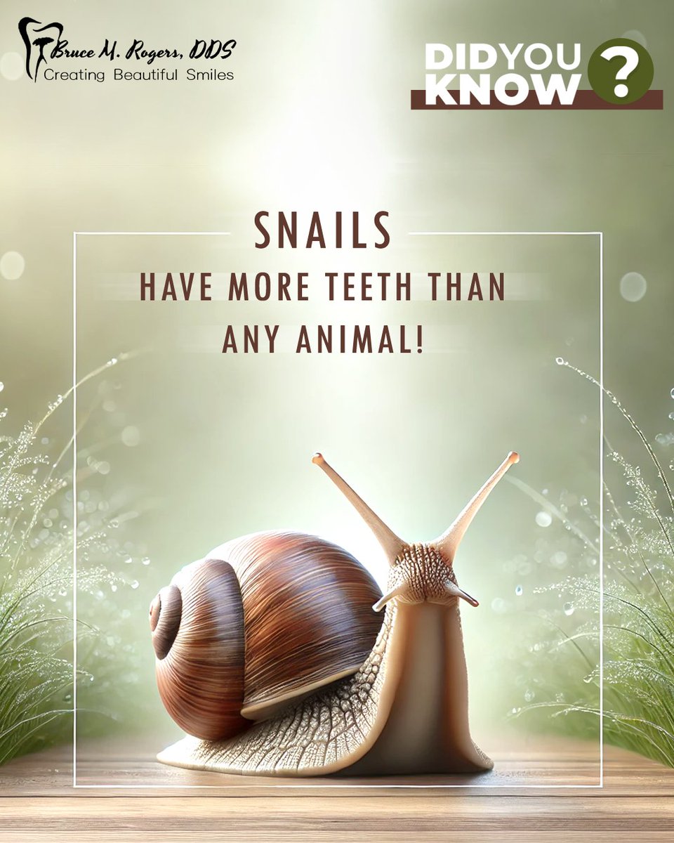 brucerogersdds's tweet photo. Some #snail species have over 20,000 tiny teeth. 😲 They use these to scrape and grind food efficiently.
Unlike snails, we need #dentalcare! 🪥✨ Keep your #teeth healthy by #brushing, #flossing, and visiting your #dentist regularly. 😁
#FunFact #SnailTeeth #Dentistry https://t.co/OxshRL4BLl