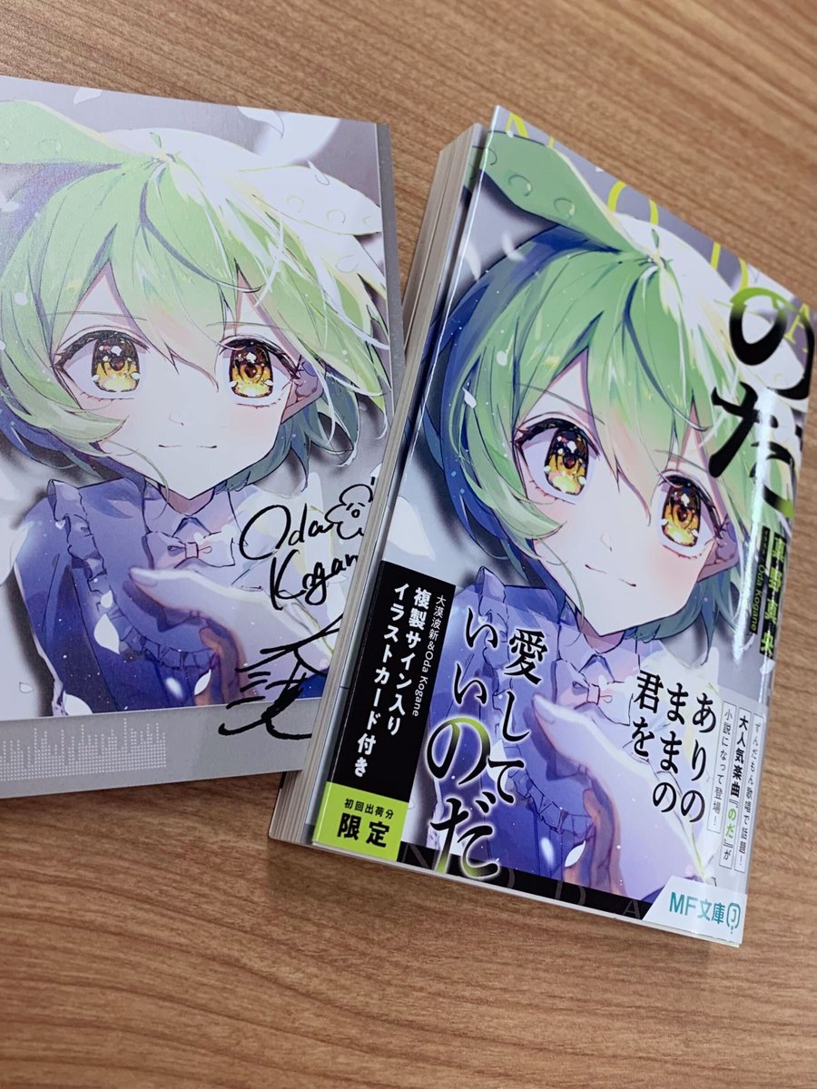 【にに様】オーダー小説 小説『のだ』見本が到着📕 正面アップなすんだもんがカバーに登場