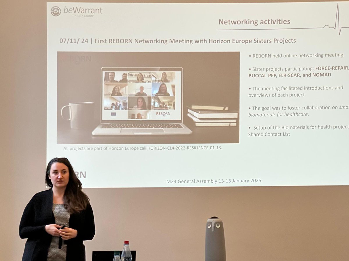 Reborn Project tweet media