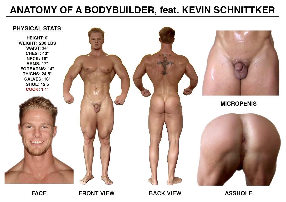 HunterKleiner69's tweet photo. Anatomy of a Bodybuilder
feat.
KEVIN SCHNITTKER https://t.co/VhE0fmCw14