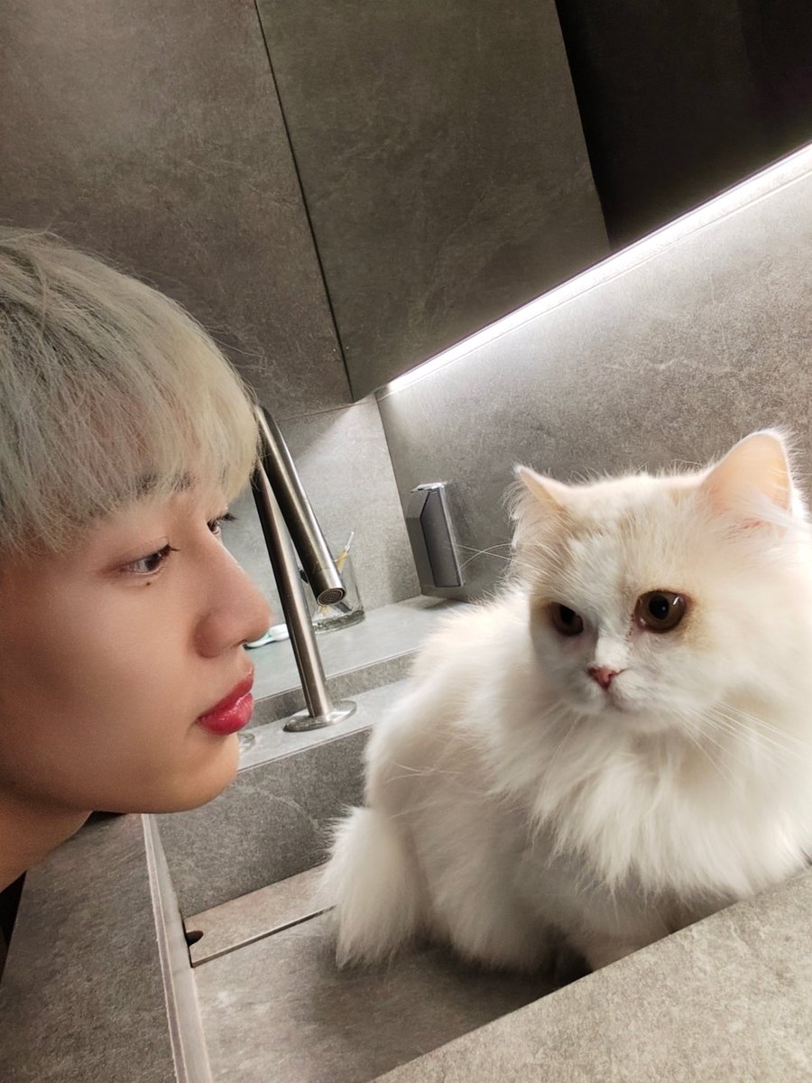 BamBam1A tweet picture