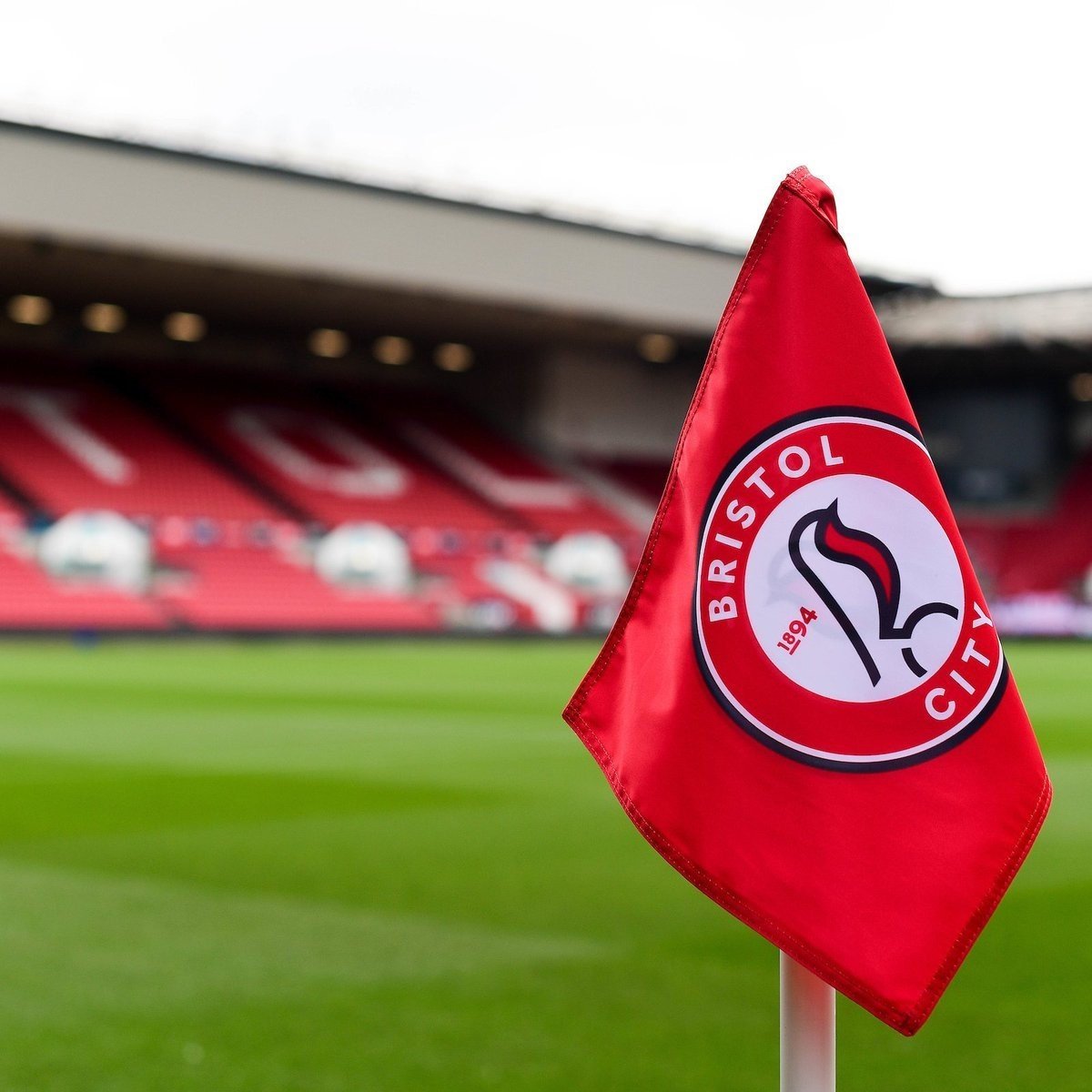 OneTeamInBristol tweet media