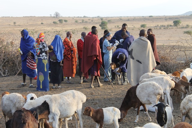 Fogarty at NIH (@fogarty_nih) on Twitter photo “#OneHealth is a way of working with people from various disciplines in human, animal, and environmental health that fits perfectly with the kinds of research questions we face in Tanzania.” Learn more Dr. John Crump's #Fogarty project w/ @Otago & <a href="/DukeGHI/">Duke Global Health</a>
go.nih.gov/Y9X87Co “#OneHealth is a way of working with people from various disciplines in human, animal, and environmental health that fits perfectly with the kinds of research questions we face in Tanzania.” Learn more Dr. John Crump's #Fogarty project w/ @Otago & <a href="/DukeGHI/">Duke Global Health</a>
go.nih.gov/Y9X87Co