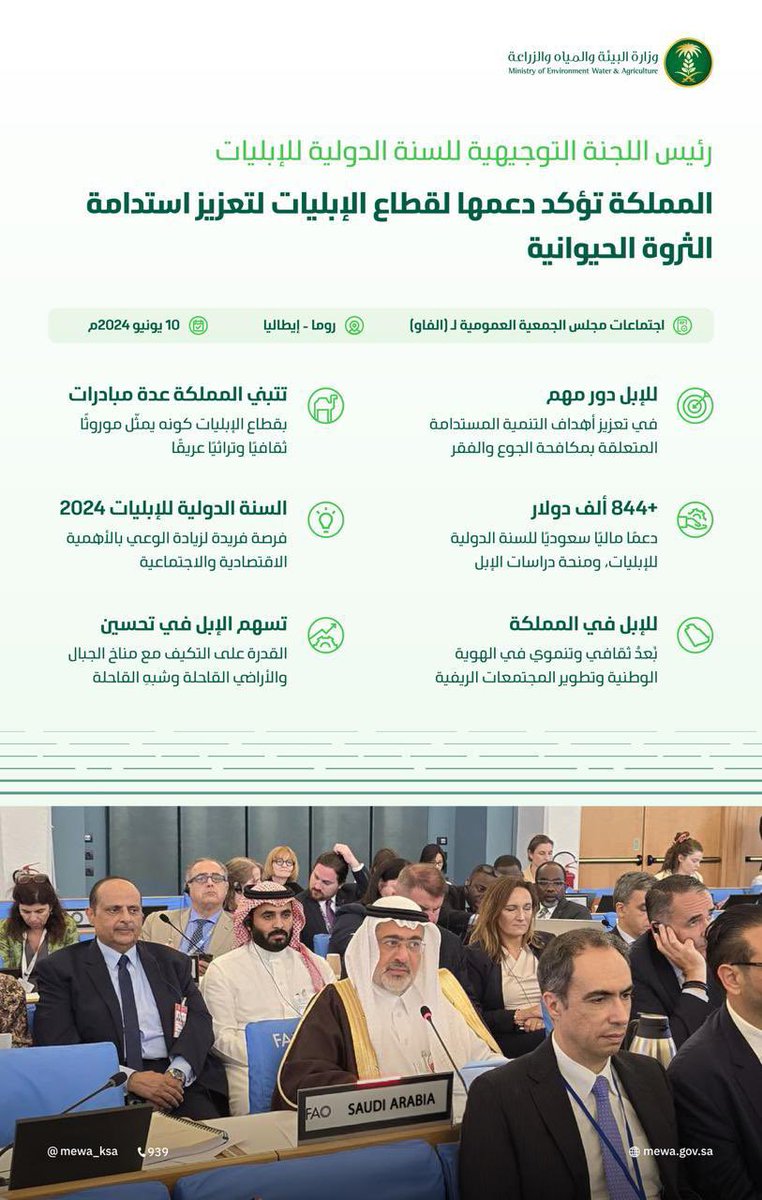 AlFaisalA77's tweet photo. الحمد لله الذي لا يتم جهد ولا يكتمل سعي إلا بفضله وعونه بفضل الله وتوفيقه، أتشرف بالإعلان على حصولي على درجة الدكتوراه في الوراثة الجزيئية بالإبل من جامعة الملك سعود بتقدير ممتاز مع مرتبة الشرف الأولى.

والعمل على تحقيق مستهدفات وزارة البيئة والمياه والزراعة ممثل بوكالة الزراعة والبرنامج الوطني لتطوير قطاع الثروة الحيوانية والسمكية، من خلال دراسة وفهم الصفات الوراثية للإبل بالمملكة وانتخاب أفضل السلالات التي تتميز بالصفات الإنتاجية العالية للحليب مما يساهم في تحسين ورفع الكفاءة الإنتاجية والوظيفية منها على اساس وراثي وقد كان موضوع دراستي و رسالتي للدكتوراه حول "رفع إنتاجية الحليب في الإبل باستخدام التسلسل الجينوم الكامل"

أسأل الله أن يجعل هذا الإنجاز نقطة انطلاق لعطاء أوسع وخدمة لوطني الغالي، وأن يوفقني للإسهام بشكل أكبر في تحقيق أهداف وزارة البيئة والمياه والزراعة، والمساهمة في تطوير قطاع الثروة الحيوانية.

@AlfadleyA معالي وزير البيئة والمياه والزراعة، المهندس/ عبد الرحمن بن عبد المحسن الفضلي أتقدم لكم بجزيل الشكر وعظيم الامتنان على دعمكم الكريم الذي كان له الأثر الكبير في مسيرتي العلمية خلال دراسة الدكتوراه، إن ما وجدته من اهتمام ورعاية ودعم مستمر قد أسهم بشكل مباشر في تحقيق أهدافي الدراسية، وأكد لي مدى حرصكم على دعم الكفاءات الوطنية وتشجيع البحث العلمي وأسال الله أن يوفقكم ويجزاكم خير الجزاء على ما تقدمونه من جهود مباركة في خدمة وطننا الغالي.

@ssek99 سعادة وكيل الوزارة للزراعة بوزارة البيئة والمياه والزراعة المهندس/ أحمد بن صالح العيادة أتقدم إليكم بخالص الشكر وعظيم الامتنان على دعمكم الكريم واهتمامكم المستمر الذي لم ينقطع طوال فترة دراستي لمرحلة الدكتوراه لقد كان لدعمكم وسؤالكم الدائم أثر كبير في تخطي التحديات وتحقيق النجاح الذي أطمح إليه وإن حرصكم على متابعة مسيرتي الدراسية وتوجيهاتكم القيمة يعكسان اهتمامكم الكبير بتطوير الكفاءات الوطنية، وسعيكم الدائم لتحقيق مستهدفات الوكالة، وهو ما يدعو للفخر والاعتزاز لن أنسى دعمكم واتصالكم الدائم الذي كان دافعًا لي للمثابرة والتميز أسأل الله أن يوفقكم ويسدد خطاكم، ويجزيكم خير الجزاء على جهودكم المباركة في خدمة الوطن والمجتمع.

@alshaikhi1_ali والشكر موصول الى سعادة الوكيل المساعد للثروة الحيوانية والسمكية الدكتور / علي بن محمد الشيخي والى سعادة الرئيس التنفيذي للبرنامج الوطني لتطوير قطاع الثروة الحيوانية والسمكية الدكتور / وليد بن صالح السالم أتقدم إليكم بخالص الشكر وعظيم الامتنان على دعمكم المستمر واهتمامكم الكبير الذي حظيت به خلال مرحلة دراستي وأسأل الله أن يوفقكم ويسدد خطاكم، ويجزيكم خير الجزاء.

خلال مسيرتي لمرحلة الدكتوراه تم ولله الحمد دراسة أهم سلالات الإبل عالية ومنخفضة الإنتاج بالحليب باستخدام أحدث التقنيات الحديثة بالجينوم وفهم التراكيب الوراثية للسلالات الإبل المنتجة للحليب وتم اكتشاف 256 علامة وراثية و40 جين بالكروموسومات رقم 3، 7، 11، و37 هذه الجينات تعد بصمة وراثية لفهم ومعرفة غزارة إنتاج الحليب هذا العمل يساهم في انتخاب أفضل السلالات المنتجة للحليب وتطبيق التحسين الوراثي لتقليل التكاليف التشغيلية فهم الأساس الجيني للصفات المرتبطة بحليب الإبل يُعد أمرًا جوهريًا لتعظيم هذه الفوائد الصحية وتعزيز إنتاج الحليب تم نشر بحثين بأفضل المجلات العالمية. 

والمملكة العربية السعودية تضع استراتيجيات وخطوات مهمة، لجعل قطاع الإبل أحد عناصر الاستدامة البيئية في المستقبل لأن الإبل كانت وما زالت موروث ثقافي عريق أصيل وللإبل دور اقتصادي مشهود منذ عهود طويلة في حياة الشعوب والأمم السابقة فكانت تجارة الحرير والتوابل ورحلة الشتاء والصيف للشام واليمن. ولوزارة البيئة والمياه والزراعة اهتمام كبير بقطاع الإبل سعياً للمحافظة عليها والإكثار من تربيتها والاستفادة من مختلف منتوجاتها بتقنيات علمية حديثة متطورة. 

مرفق لكم صور الدراسة والبحث العلمي.