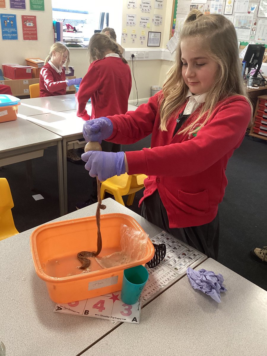 Year 4 Robins have enjoyed a hands on practical making a model of the digestive system to create poo…learning is so much fun when we actually experience it.