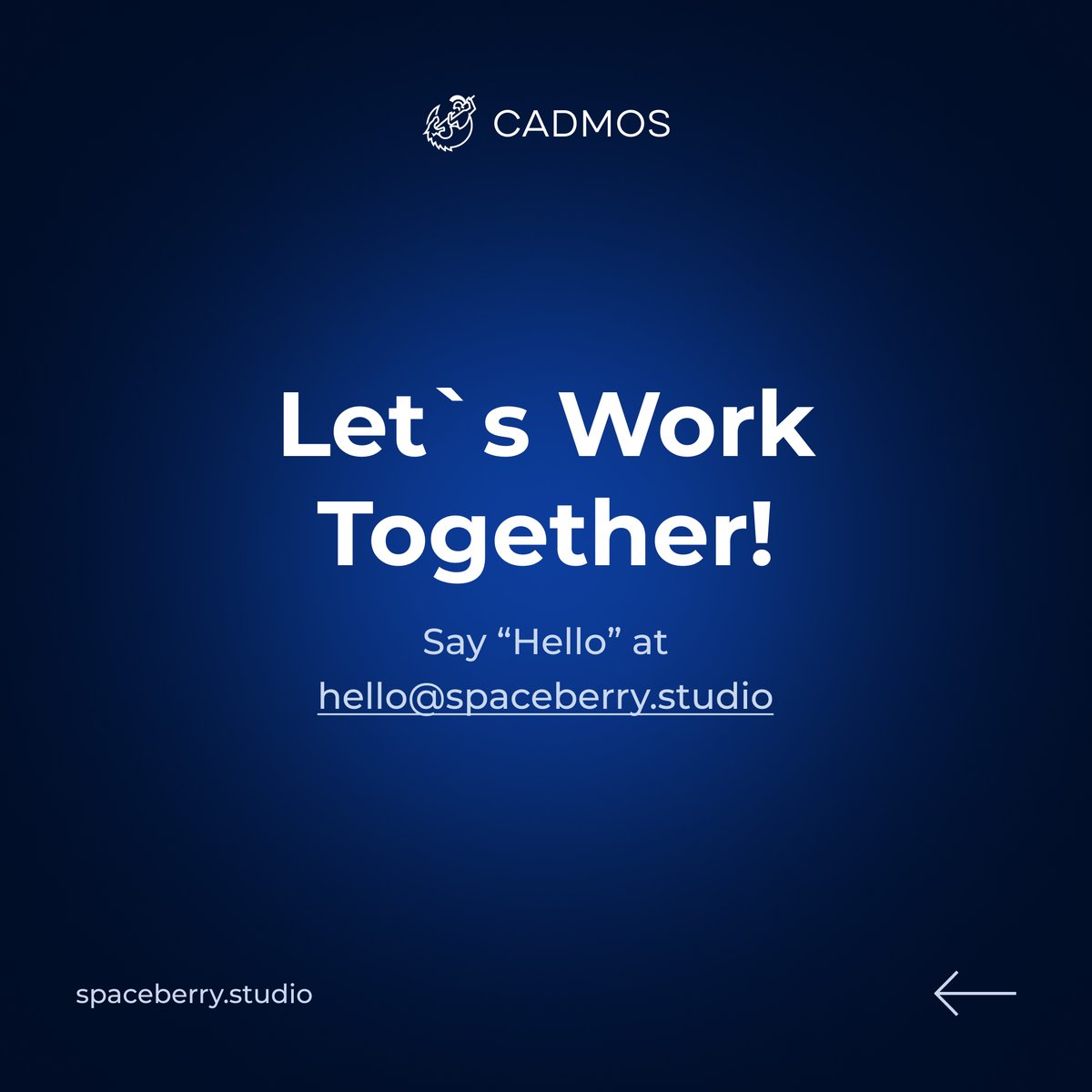 Spaceberry Studio tweet media