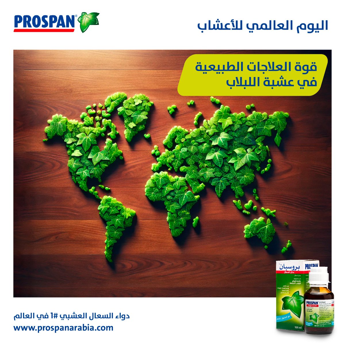 prospanarabia's tweet photo. في #اليوم_العالمي_للأعشاب، نفخر باستخدام أجود أنواع أوراق #اللبلاب لاستخراج مستخلص اللبلاب في #بروسبان®. الحل الطبيعي النقي، بدون أي إضافات عشبية تضعف قوته.
#PROSPAN #prospanarabia #الموثوق #trusted #استمتع_بحياتك_بعيدا_عن_السعال #feel_yourlife_not_yourcough https://t.co/7Aa2u7eM9i