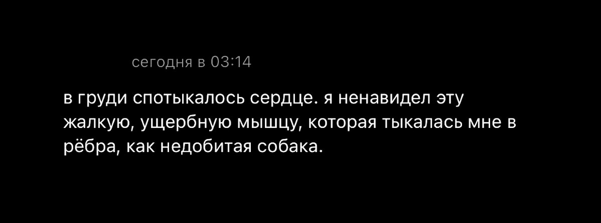 кастер tweet media