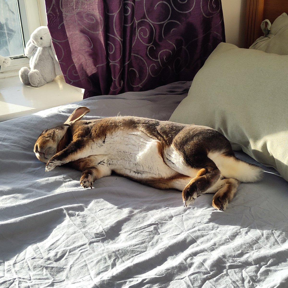 Cecilia Gialdini 🍉🏳️🌈 tweet media