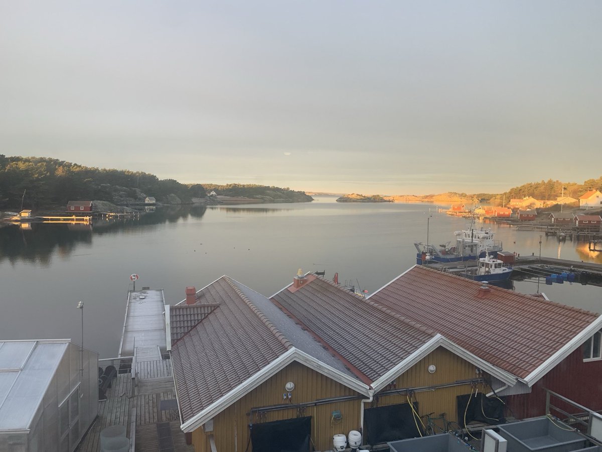 Matthew W. Gray π π¬ (@mattwgray) on Twitter photo Sun cresting at 930 am in Sweden Sun cresting at 930 am in Sweden