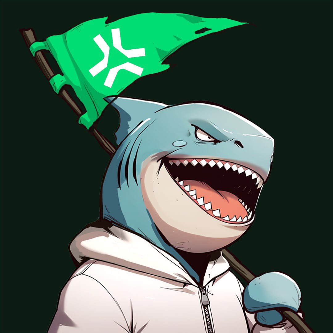 The Fins tweet media