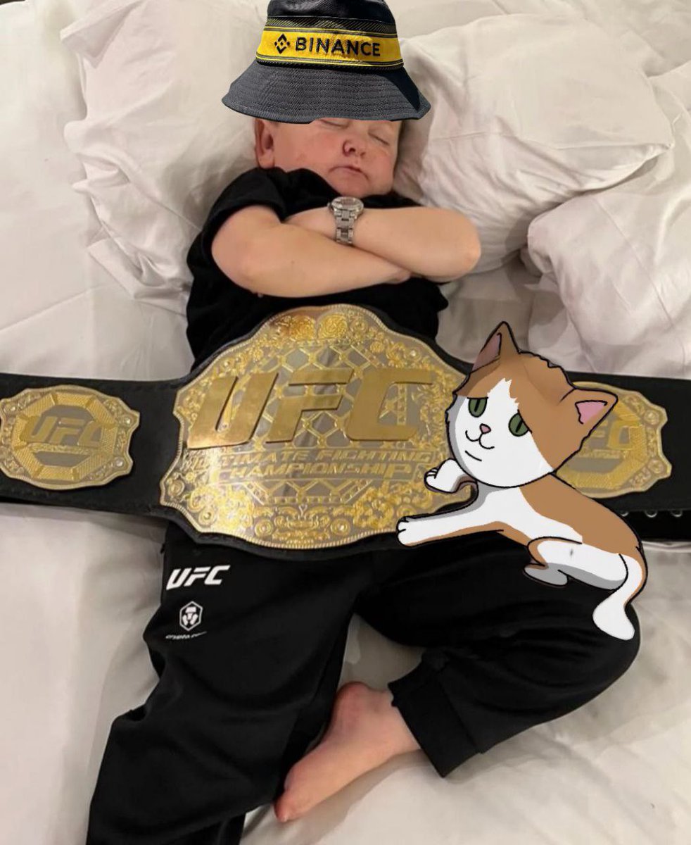 BARSIK (Hasbulla’s Cat) tweet media