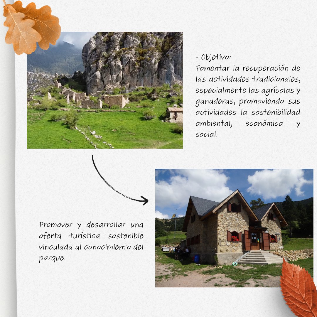 entrearbres's tweet photo. 💫 ¡Emocionados de iniciar este proyecto para @Prepicat en el Parque Regional del Prepirineo Catalán! 

🌿💚 Impulsado por los Ayuntamientos locales y la Diputación de Barcelona @diba  

¡Más actualizaciones pronto!🌍💚 

#PREPICAT #Sostenibilidad #TurismoResponsable https://t.co/idOTr0c0YT