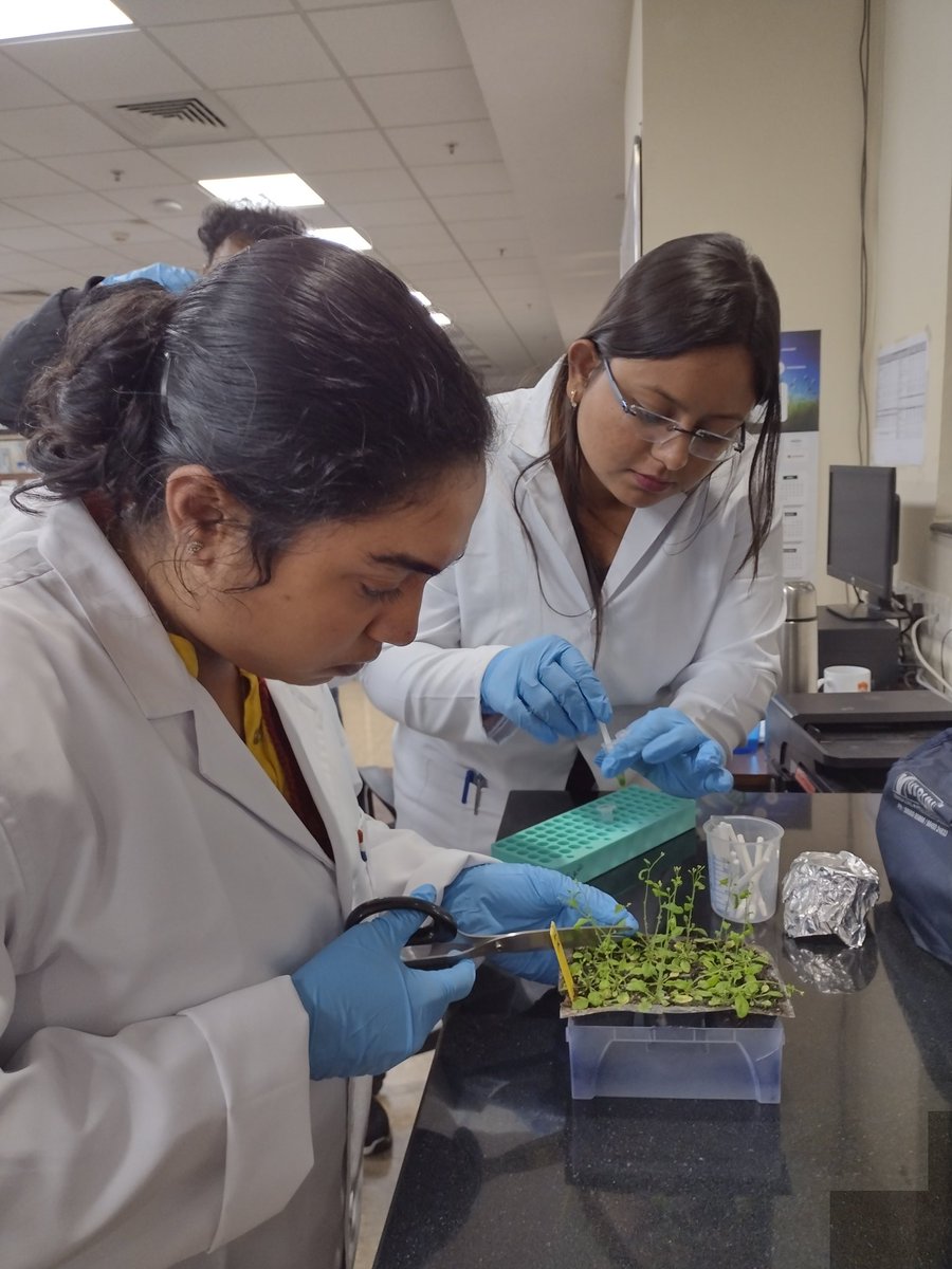 unescorcb's tweet photo. The new #PGDIB program has commenced at RCB!
The first batch of PGDIB students has begun their coursework with a practical foundational module. The first week introduced them to the core principles of biotechnology, bridging fundamental science with industrial applications. https://t.co/SMzE3TKBG4