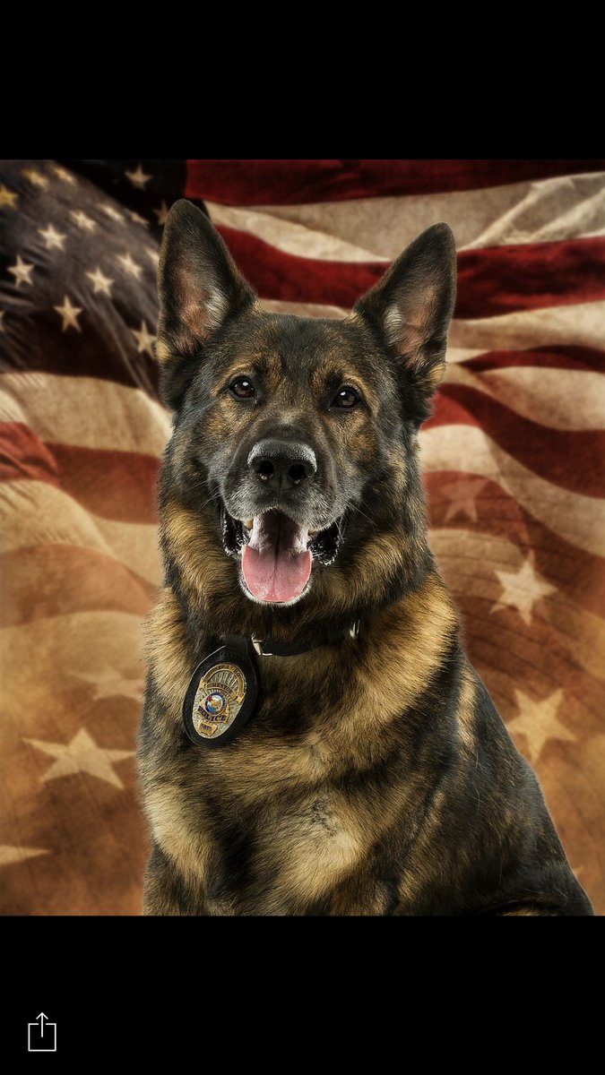 Billy Mackey tweet media