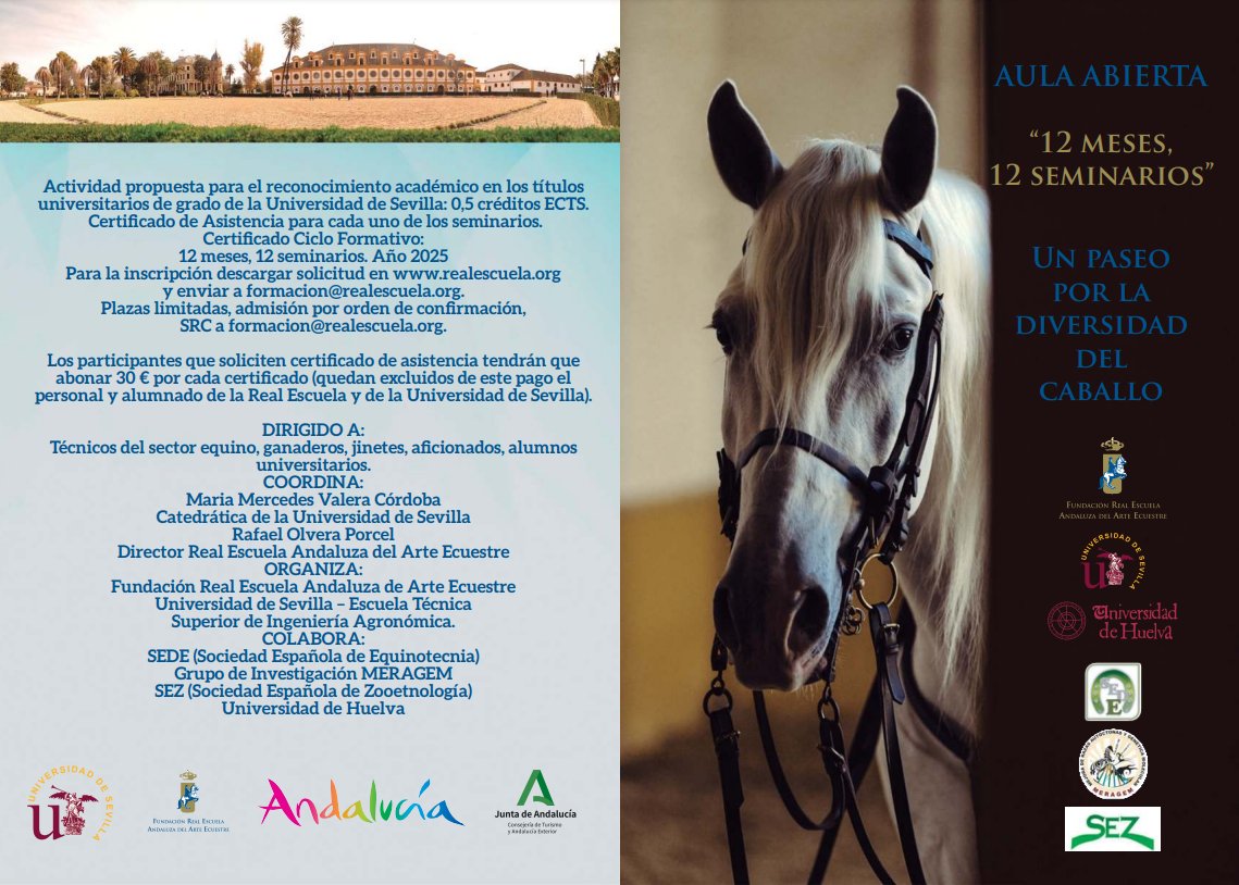 sede_equino's tweet image. 🟢12 meses, 12 seminarios
Descubre todo sobre la diversidad del caballo en nuestro ciclo de seminarios. ¡Inscríbete ya! 🐴📚

Consulta el programa completo aquí 👇
realescuela.org

#caballos #seminarios #ArteEcuestre #Educación #DiversidadEquina