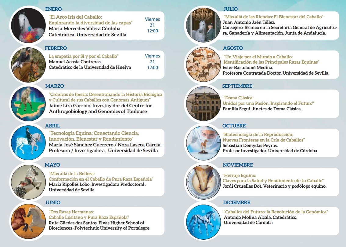 sede_equino's tweet image. 🟢12 meses, 12 seminarios
Descubre todo sobre la diversidad del caballo en nuestro ciclo de seminarios. ¡Inscríbete ya! 🐴📚

Consulta el programa completo aquí 👇
realescuela.org

#caballos #seminarios #ArteEcuestre #Educación #DiversidadEquina