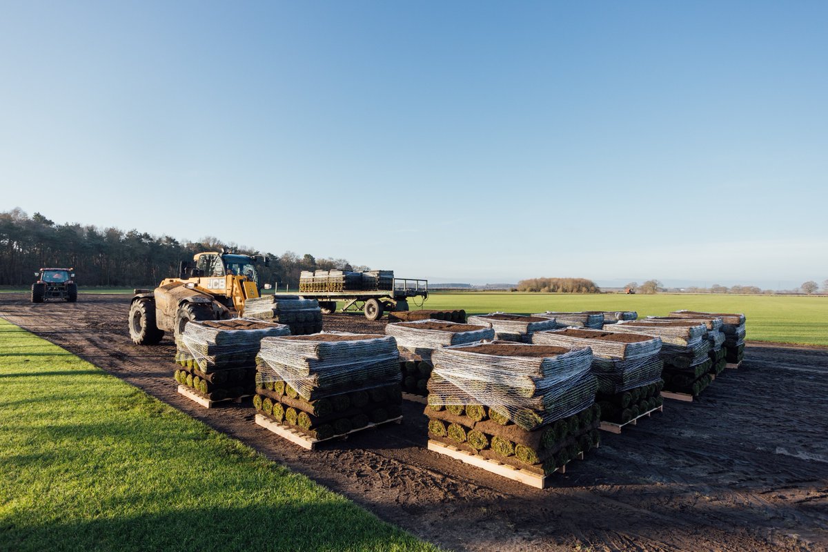 tillersturf's tweet image. Back in the fields, harvesting our Arena Gold Turf

Got a project planned this winter? Check out how our products can help: tillersturf.co.uk

#TurfHarvest #WinterProjects
