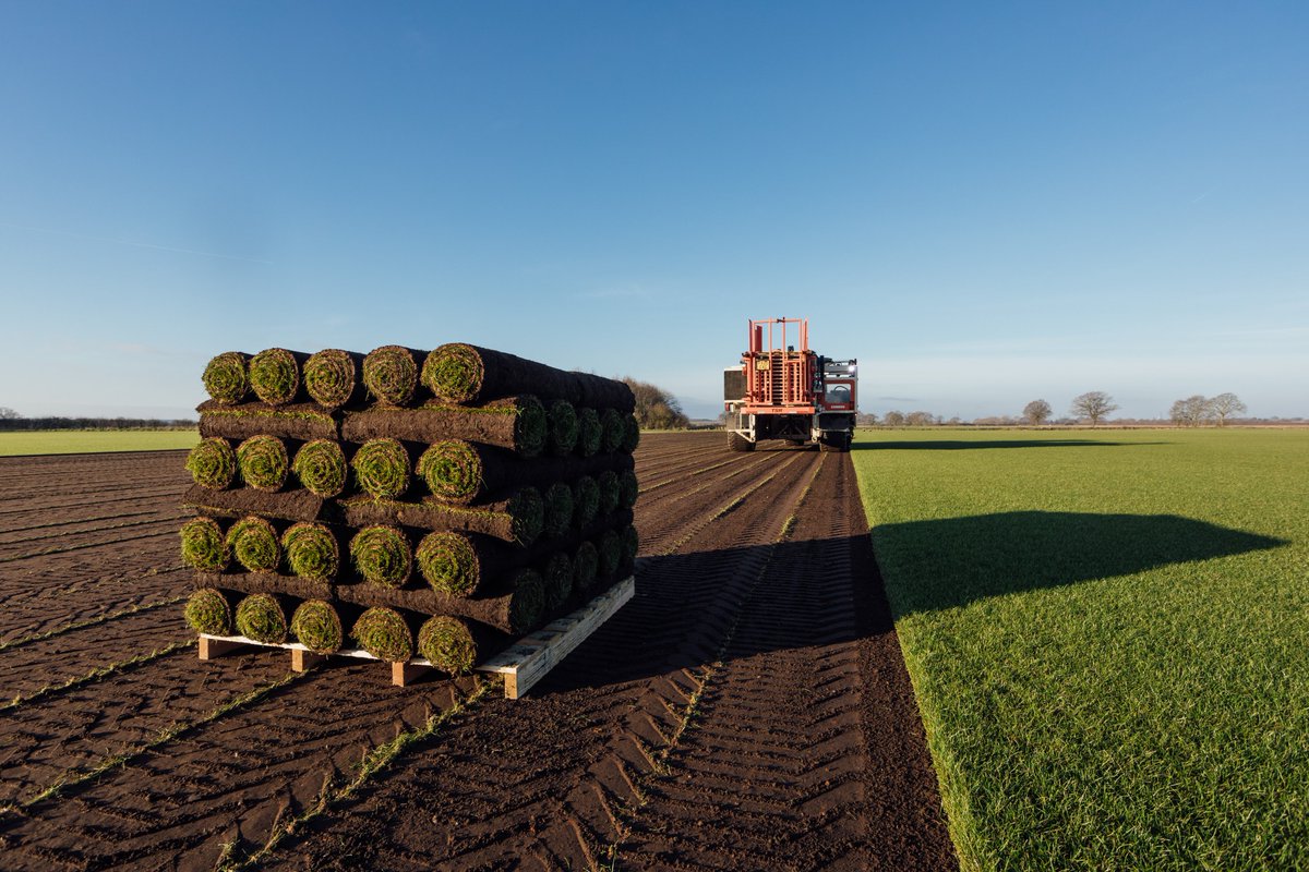 tillersturf's tweet image. Back in the fields, harvesting our Arena Gold Turf

Got a project planned this winter? Check out how our products can help: tillersturf.co.uk

#TurfHarvest #WinterProjects