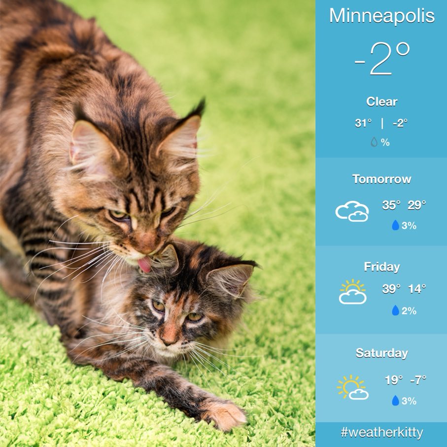 Janine Munson tweet media