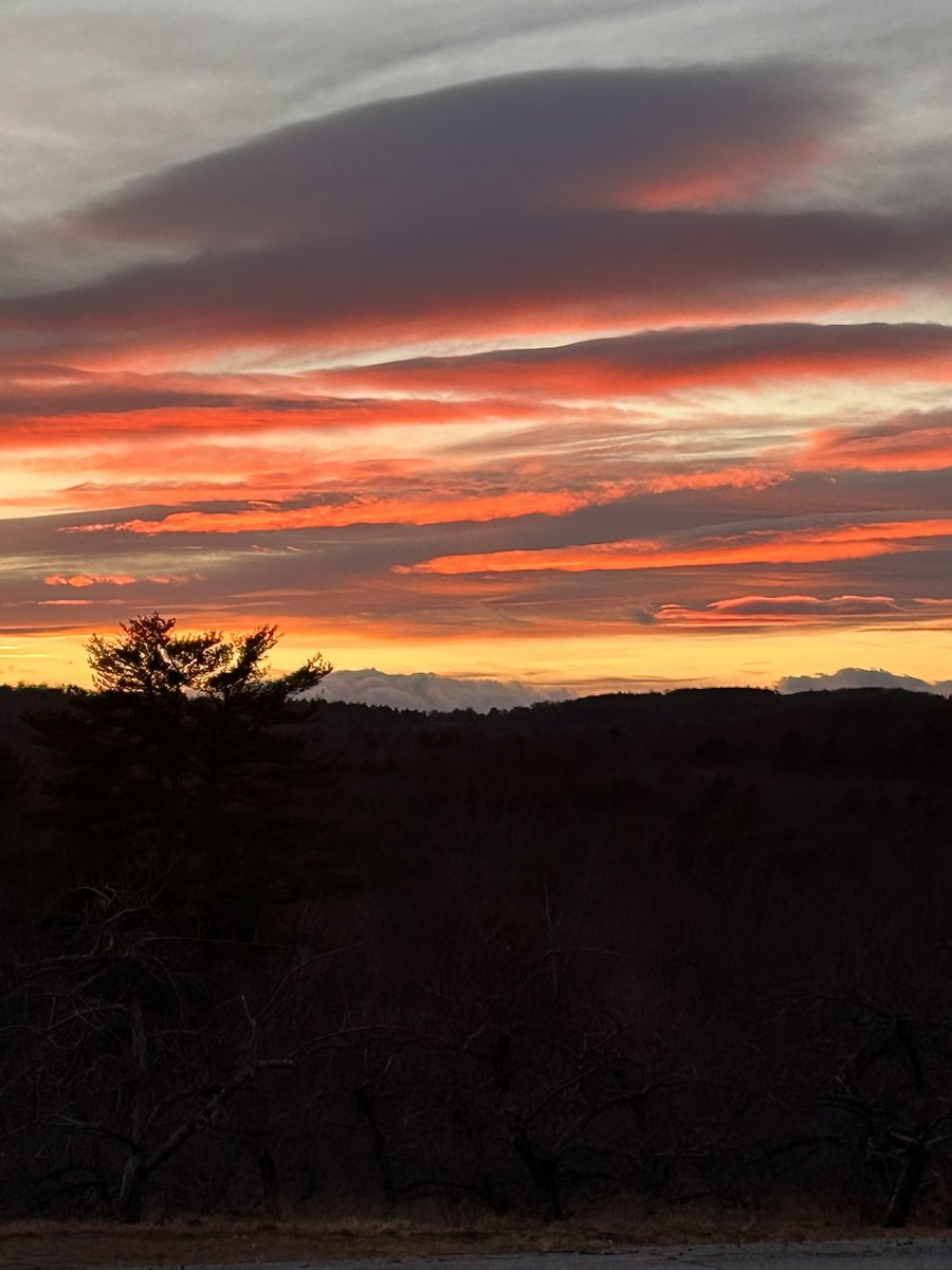 gesine_weller's tweet photo. I’m new on here. Hello everyone 😊from Maine 💕 https://t.co/xdtY35CXI0