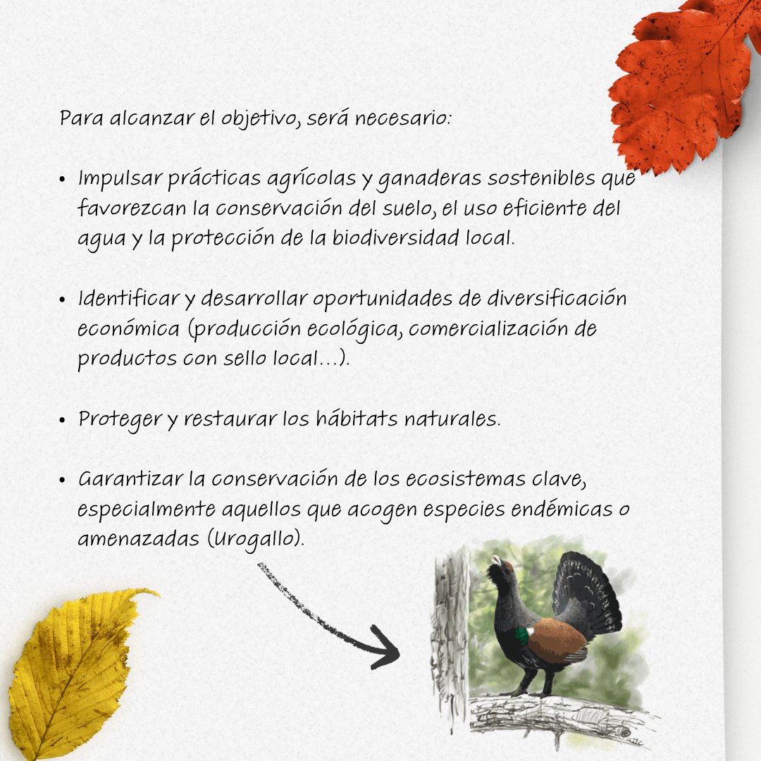 entrearbres's tweet photo. 💫 ¡Emocionados de iniciar este proyecto para @Prepicat en el Parque Regional del Prepirineo Catalán! 

🌿💚 Impulsado por los Ayuntamientos locales y la Diputación de Barcelona @diba  

¡Más actualizaciones pronto!🌍💚 

#PREPICAT #Sostenibilidad #TurismoResponsable https://t.co/idOTr0c0YT