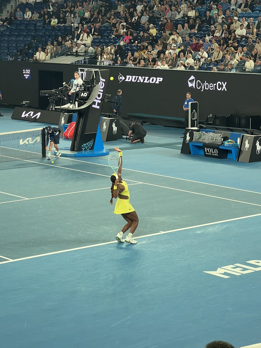 chris shoals tweet media