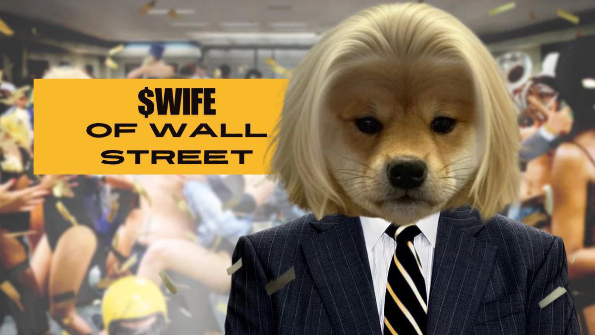 <a href="/0xSweep/">Sweep</a> Probably $WIFE…