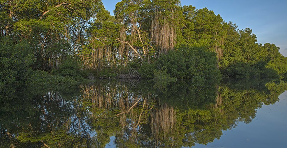 CreightonBio's tweet image. Mangrove deforestation due to urbanization, tourism, likely added to tragic devastation of Hurricane Otis in Acapulco

enn.com/articles/75845…