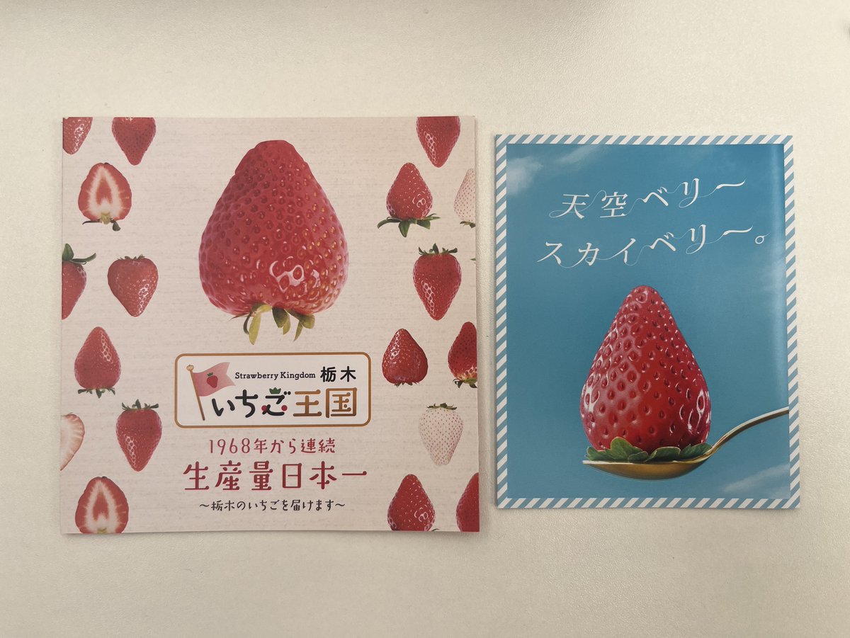 セルジオ越後 tweet media