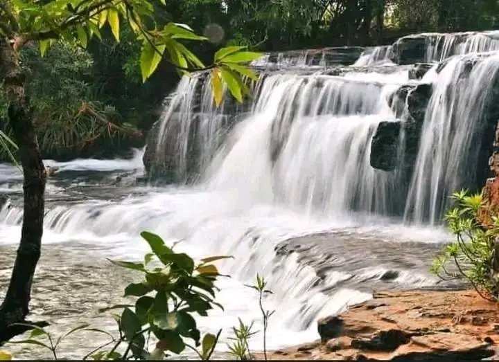 Les cascades de Banfora sont un site naturel spectaculaire situé dans la région des Cascades, au sud-ouest du Burkina Faso, près de la ville de Banfora.Également appelées les Cascades de Karfiguéla,le site est prisé pour sa beauté pittoresque et son environnement apaisant.