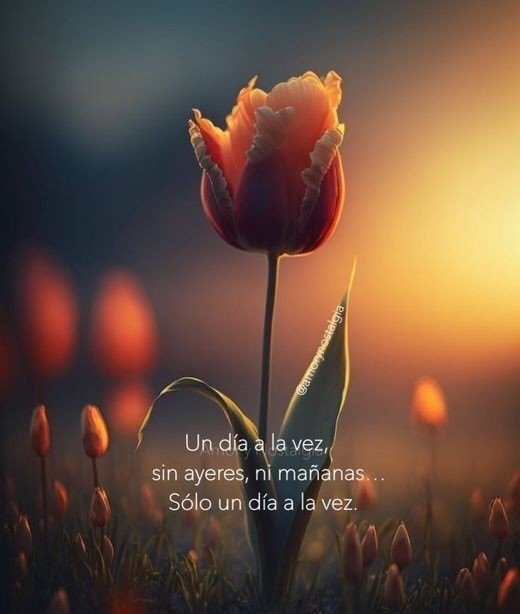 jordaninavarro's tweet photo. Un día a la vez..
Sin ayeres ni mañanas
Solo un día a la vez... https://t.co/c325AqVRkr