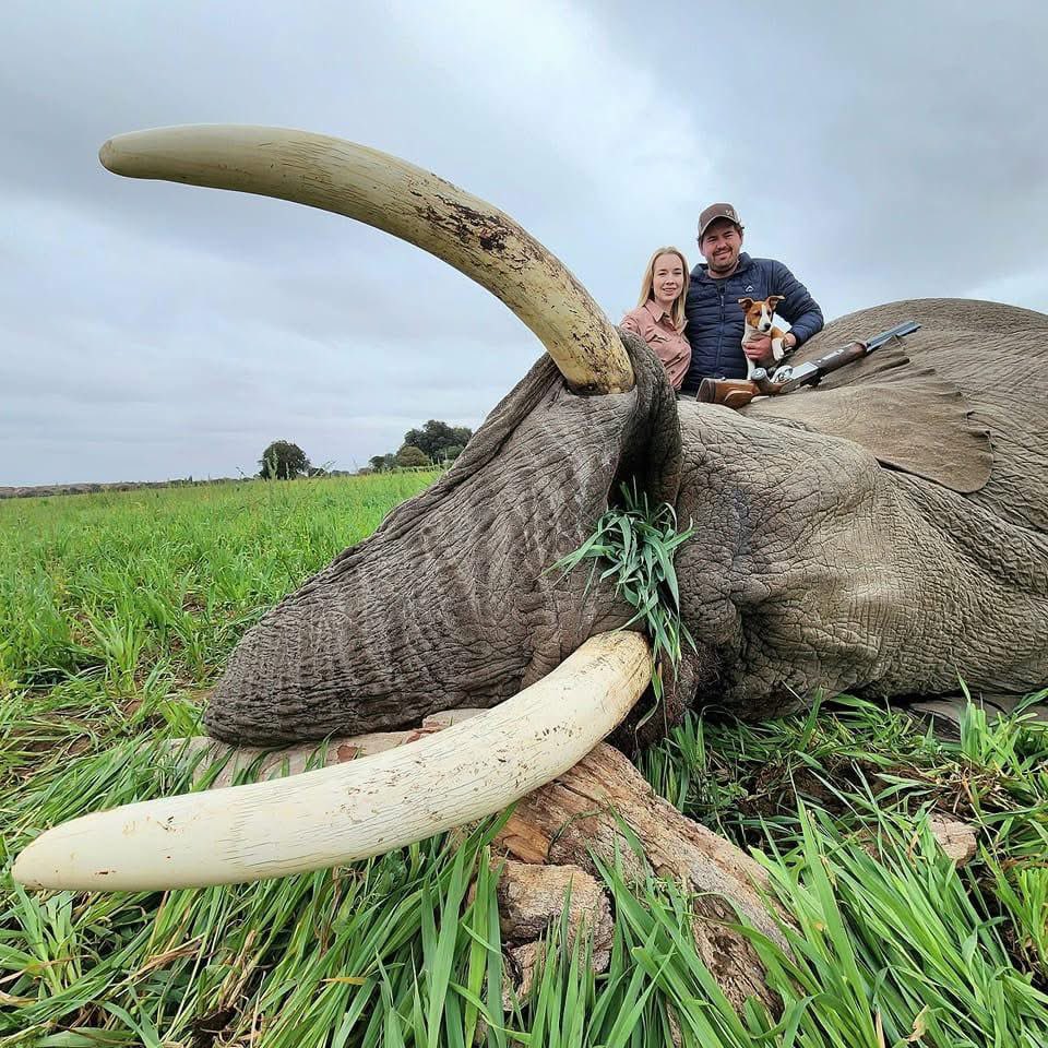 Xpose Trophy Hunting (@xposetrophyhunt) on Twitter photo JC & Bronwen Dirker, Huntopia Oufitter poses for a "nice" family photo. Even the dog is included. Big tusks on this elephant. Once again taken the best without any shame.🤬RT
#BanTrophyHunting
<a href="/SARA2001NOOR/">Sara✌️💙🍉peaceFOReveryone</a> <a href="/Angelux1111/">Angel</a> <a href="/Gail7175/">WatchDominion.com Ⓥ</a> <a href="/Lin11W/">🌱🌹❤️ Anonymous for the voiceless ❤️🌹🌱</a> <a href="/Protect_Wldlife/">PROTECT ALL WILDLIFE</a> JC & Bronwen Dirker, Huntopia Oufitter poses for a "nice" family photo. Even the dog is included. Big tusks on this elephant. Once again taken the best without any shame.🤬RT
#BanTrophyHunting
<a href="/SARA2001NOOR/">Sara✌️💙🍉peaceFOReveryone</a> <a href="/Angelux1111/">Angel</a> <a href="/Gail7175/">WatchDominion.com Ⓥ</a> <a href="/Lin11W/">🌱🌹❤️ Anonymous for the voiceless ❤️🌹🌱</a> <a href="/Protect_Wldlife/">PROTECT ALL WILDLIFE</a>