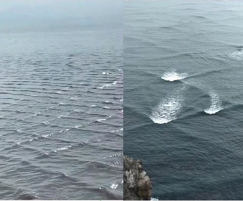 kavitha129's tweet photo. #DoYouKnow
#SquareWaves form when water waves from two weather systems meet at an angle
They can make it difficult for boaters and swimmers to navigate
They can cause many boating accidents
If caught in a square wave get out of the water immediately /Stay calm try to float on your back n swim parallel 2the shore