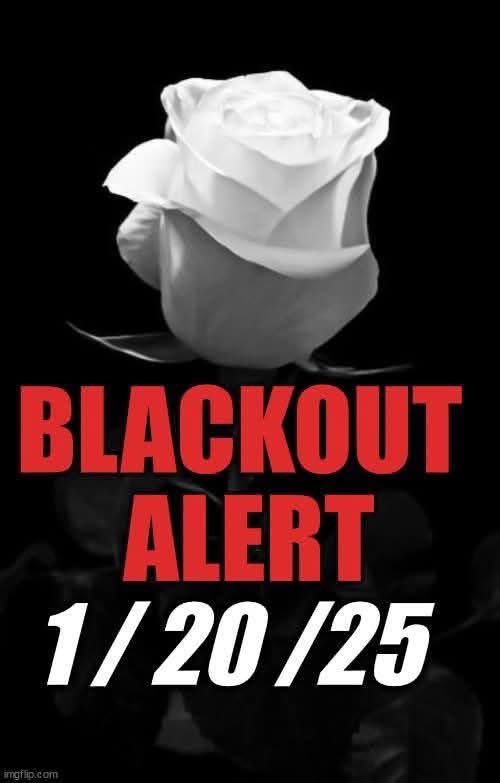 REPUBLICANS AGAINST MAGA tweet media