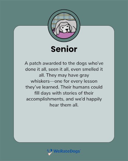 thelabradorfarm's tweet image. Queen Amy has received her official @dog_rates rating. She requests her noggin pats be delivered.

#lifeatthelabradorstation #weratedogs 

wrd.fan/rt46591