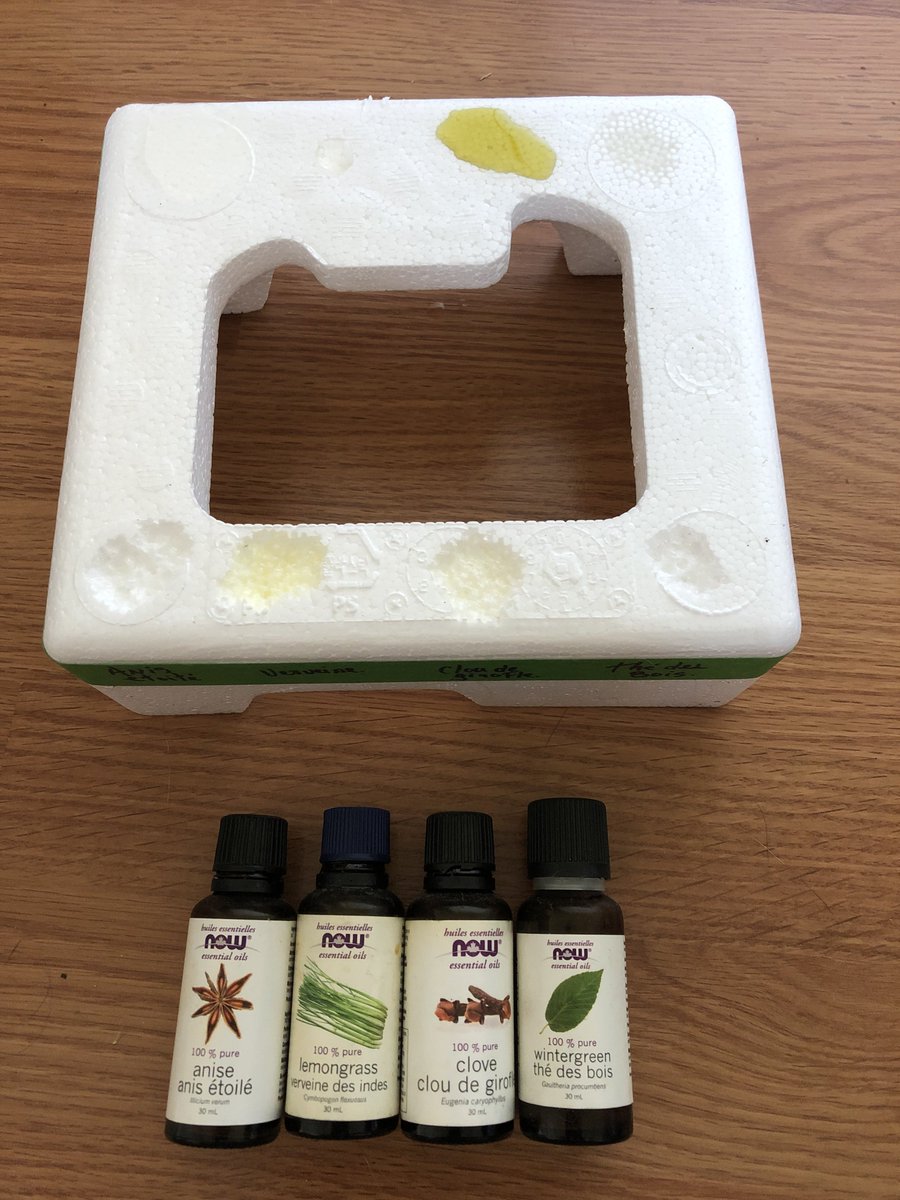 pres_reine's tweet photo. Les huile essentielle sont très puissantes. Ça fait même fondre le styromousse. Les diluer dans un peu d’huile végétale si c’est trop fort. #covid détox #vaccin #caillots #cholestérol https://t.co/MuoTDVtCW9