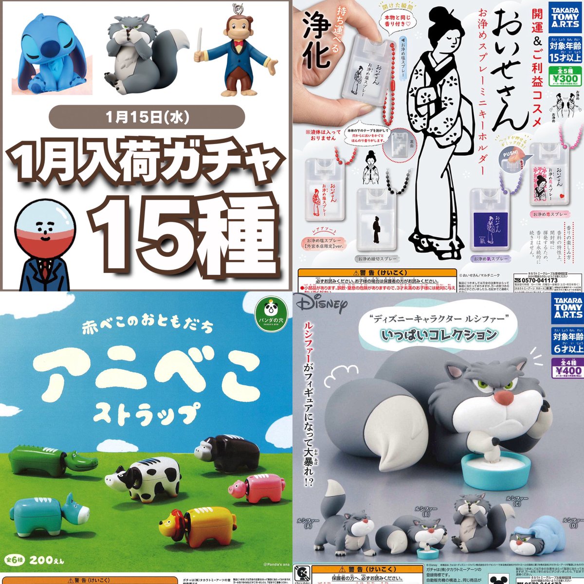 今日は15種入荷しました