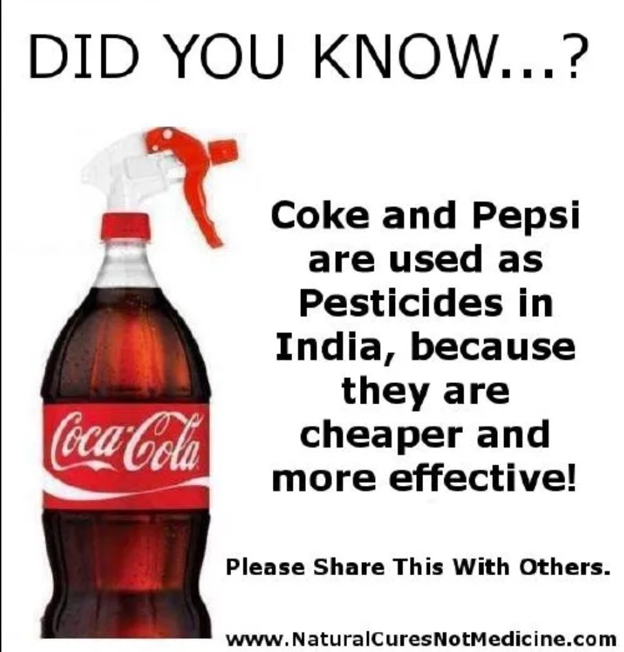 DenciShahrizal's tweet photo. Tahukah kamu yang petani-petani di India menggunakan coke cola sebagai pesticide? Pada mereka ia lebih murah dan berkesan berbanding pesticide konvensional.

#ThreadTani https://t.co/ouLQVx0rLP