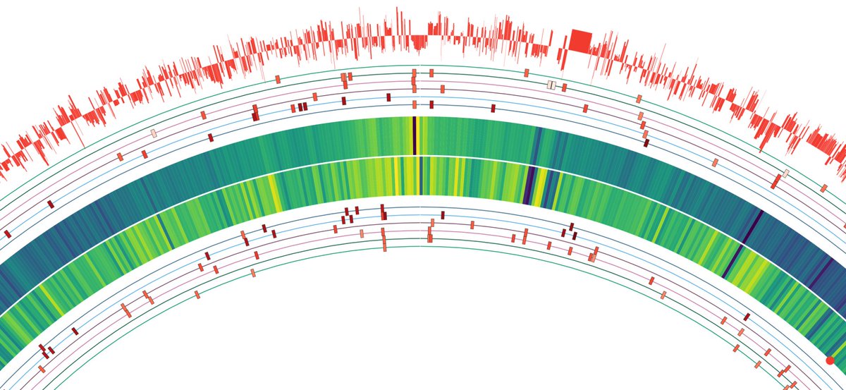 Angel Goñi-Moreno @angelgm.bsky.social tweet media