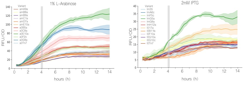 Angel Goñi-Moreno @angelgm.bsky.social tweet media