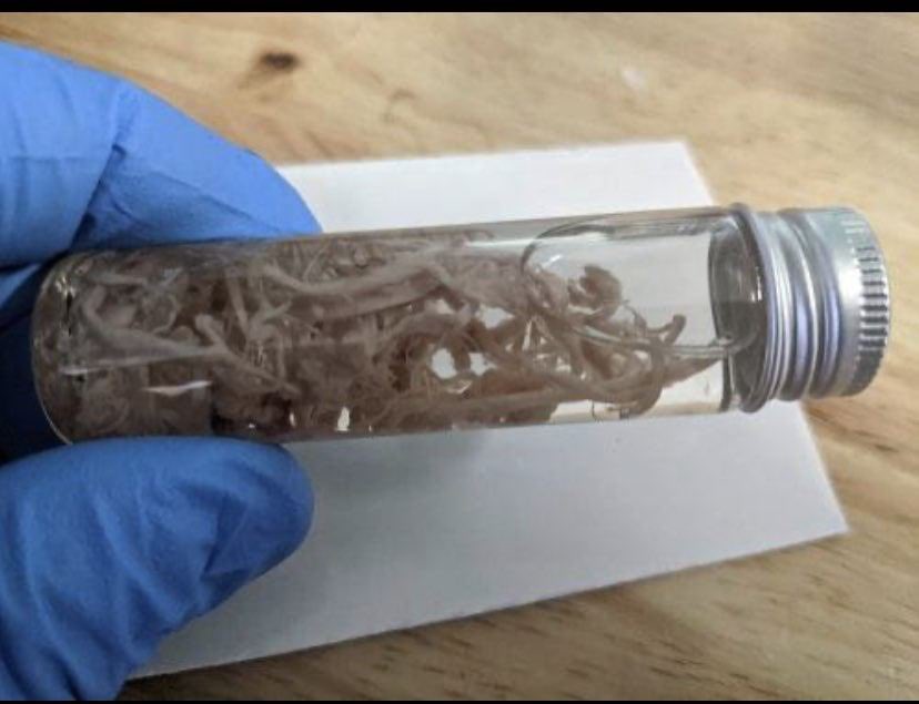 pres_reine's tweet photo. Si on se cherche quelque chose de fort pour éliminer des intrus. .. #parasites #caillots https://t.co/BqnVSHEFq7