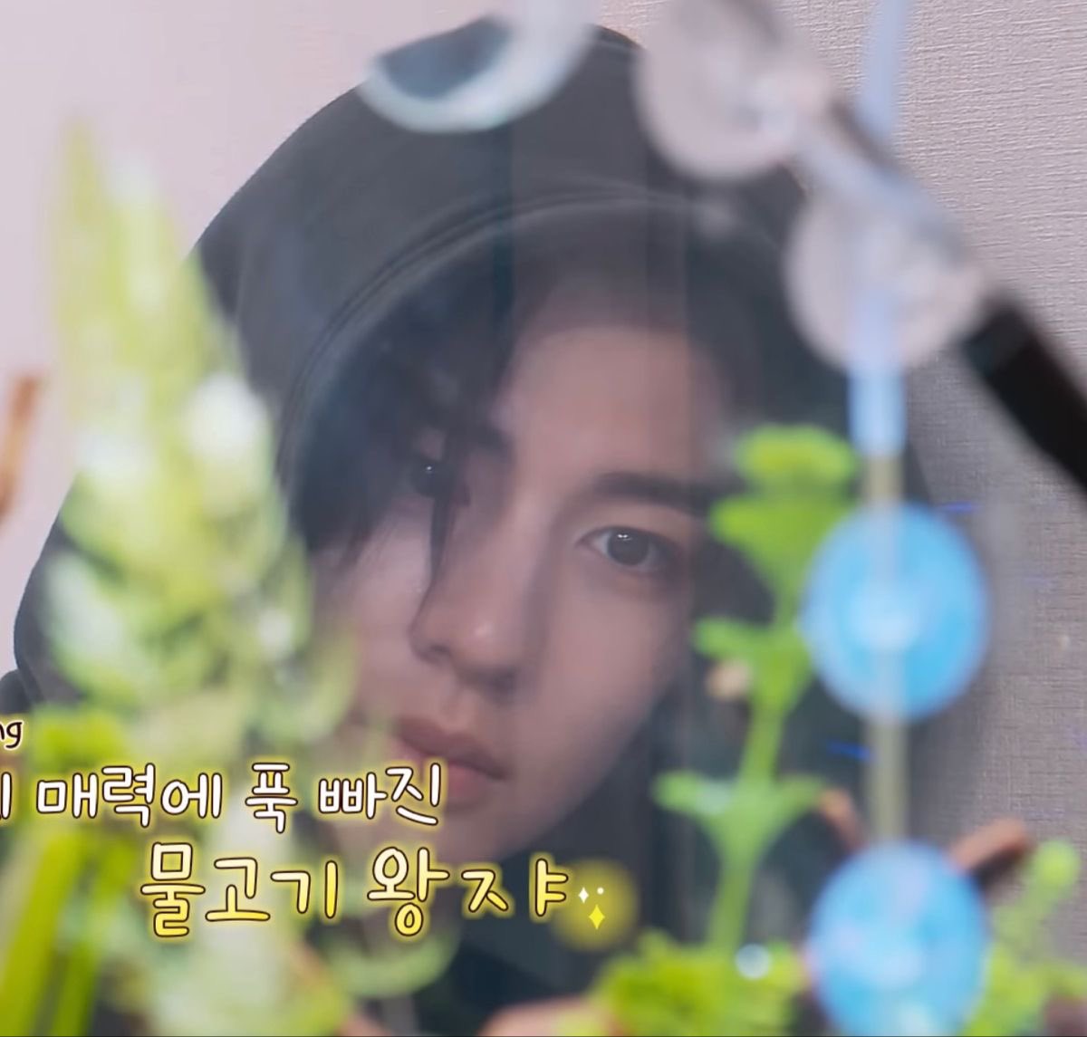 emo (ikan) ihan mati 🐠

leehan taesan anton gyuvin yushi few tweets au
from Potret 04z universe