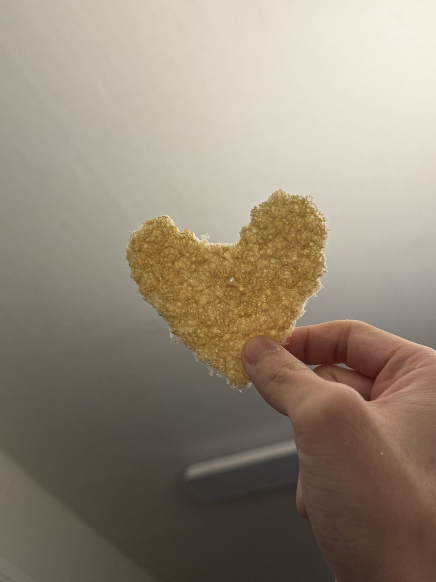 이번 주도 절반이나 지났다🥹화이팅🩷